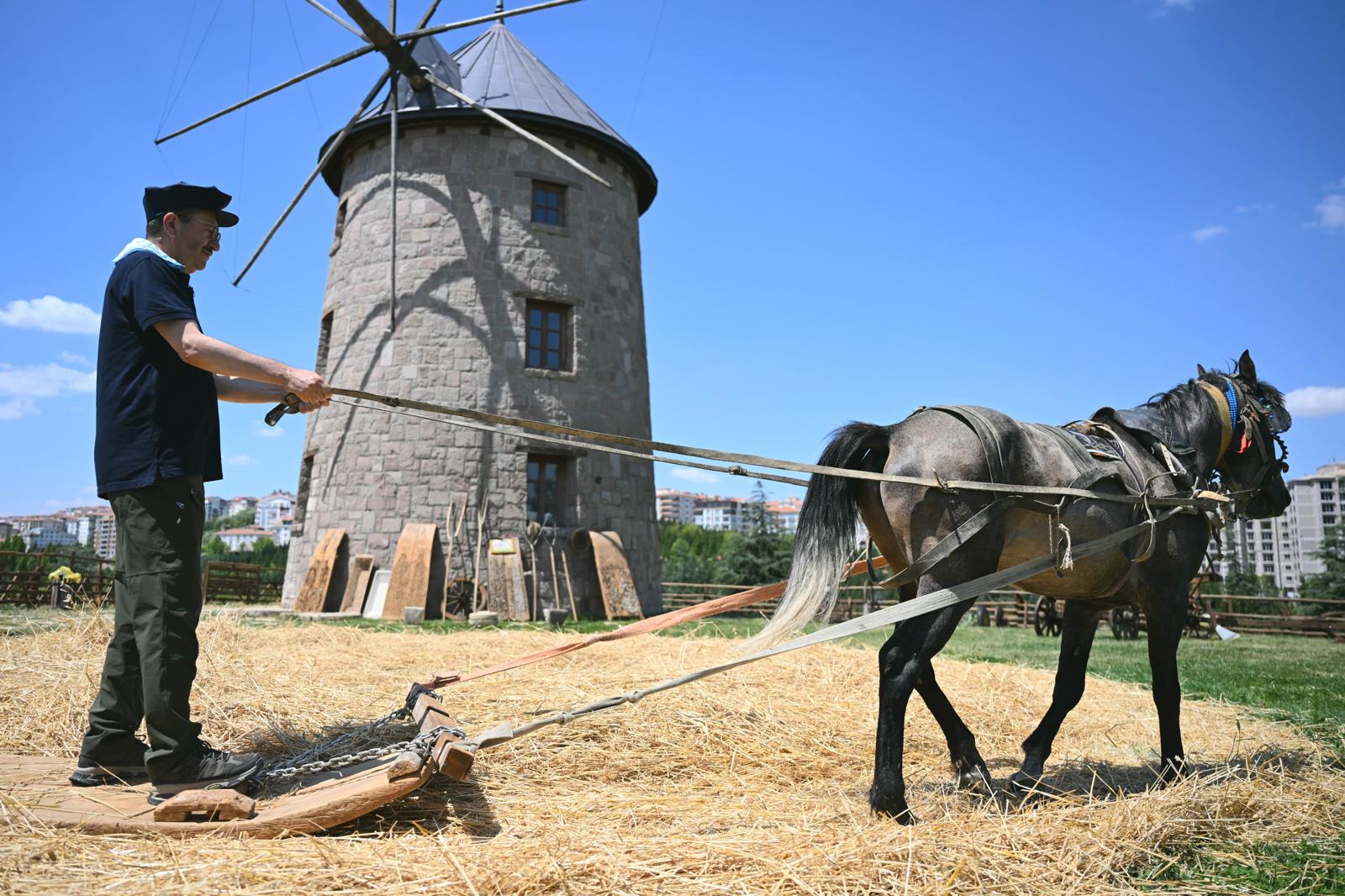 THE 9TH TRADITIONAL HARVEST FESTIVAL IS BEGINNING