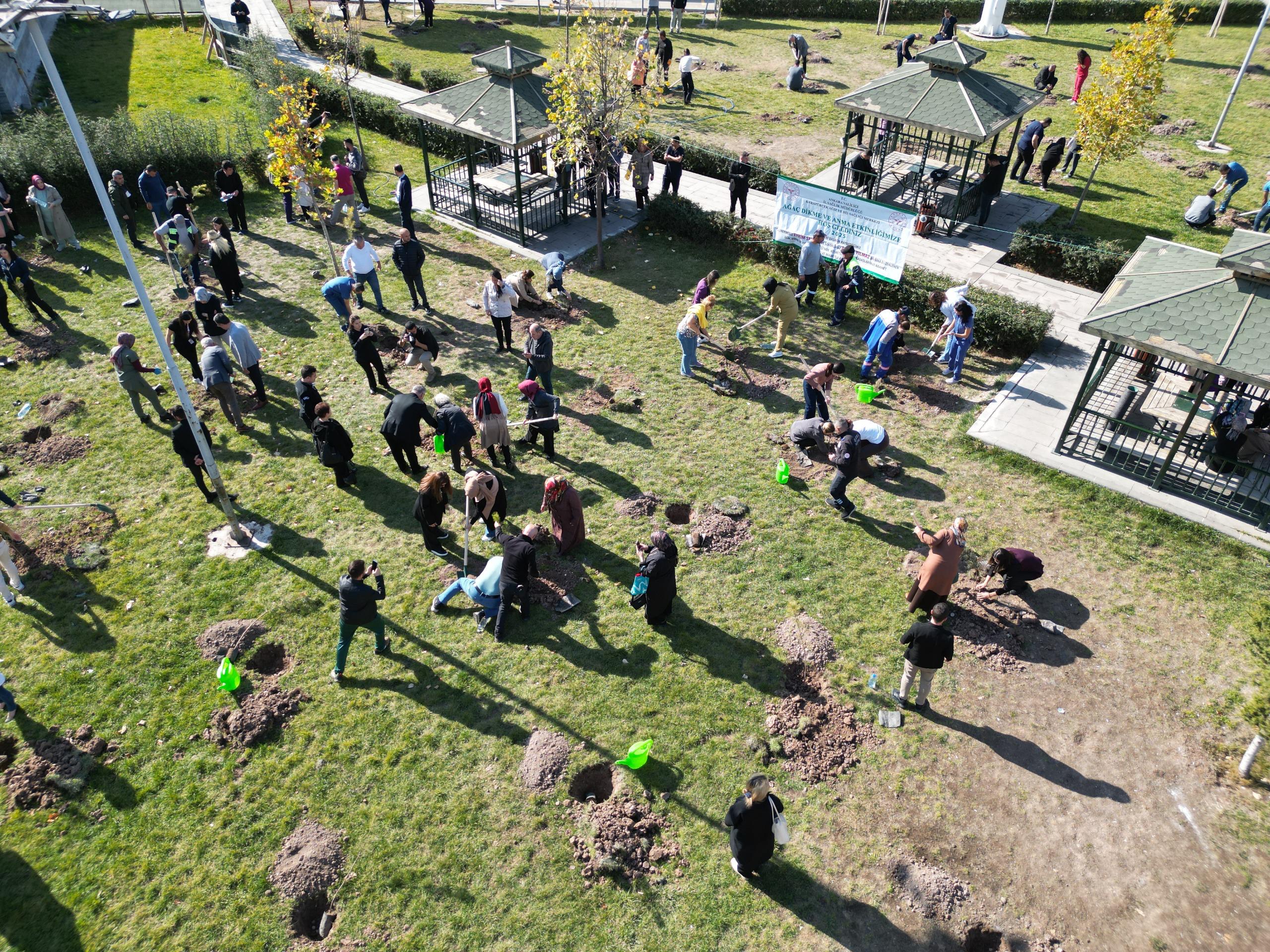 100 SEEDLINGS FOUND THE SOIL IN ALTındağ