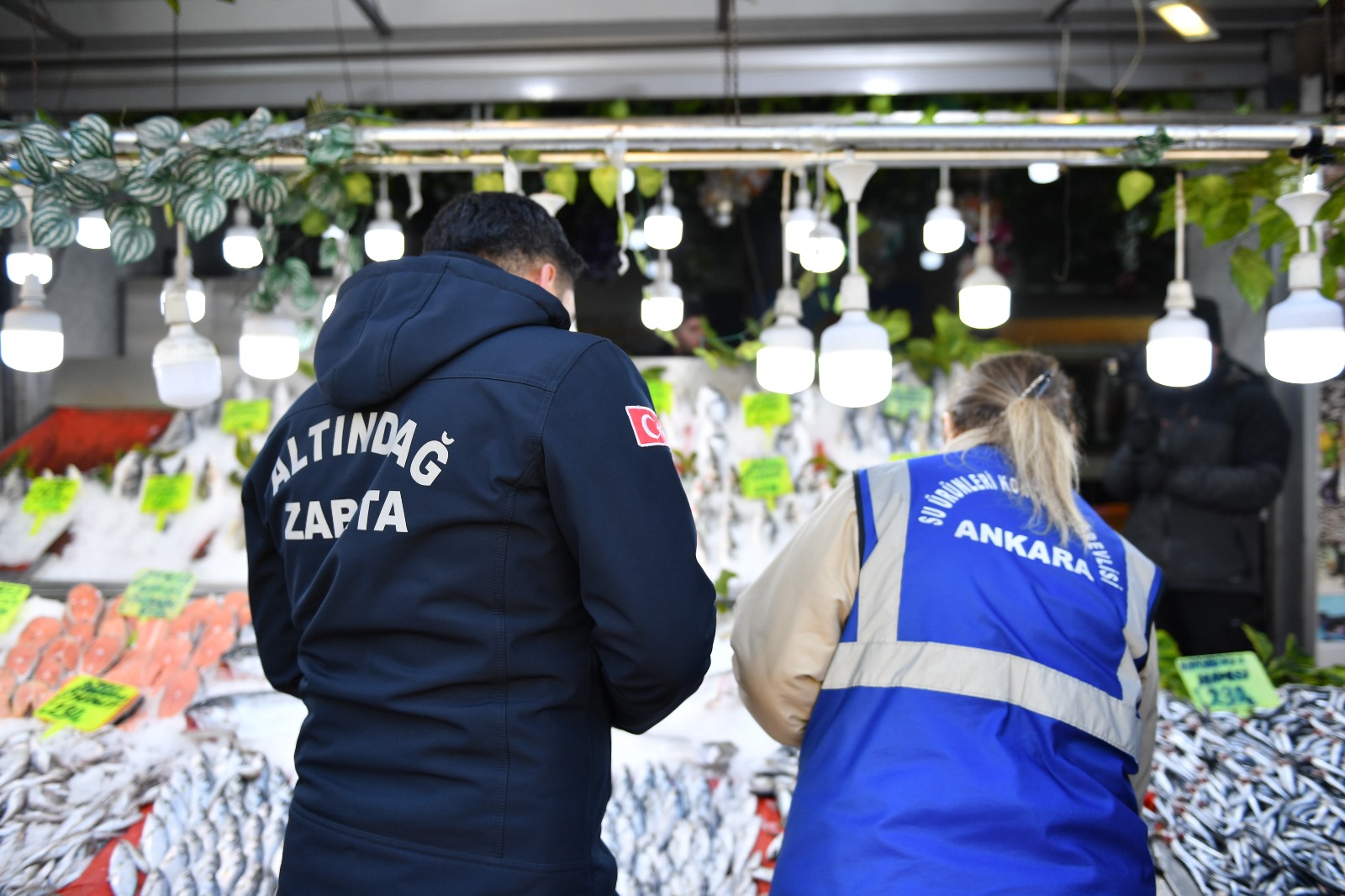 FISH STANDS UNDER SPOTLIGHT IN ALTındağ