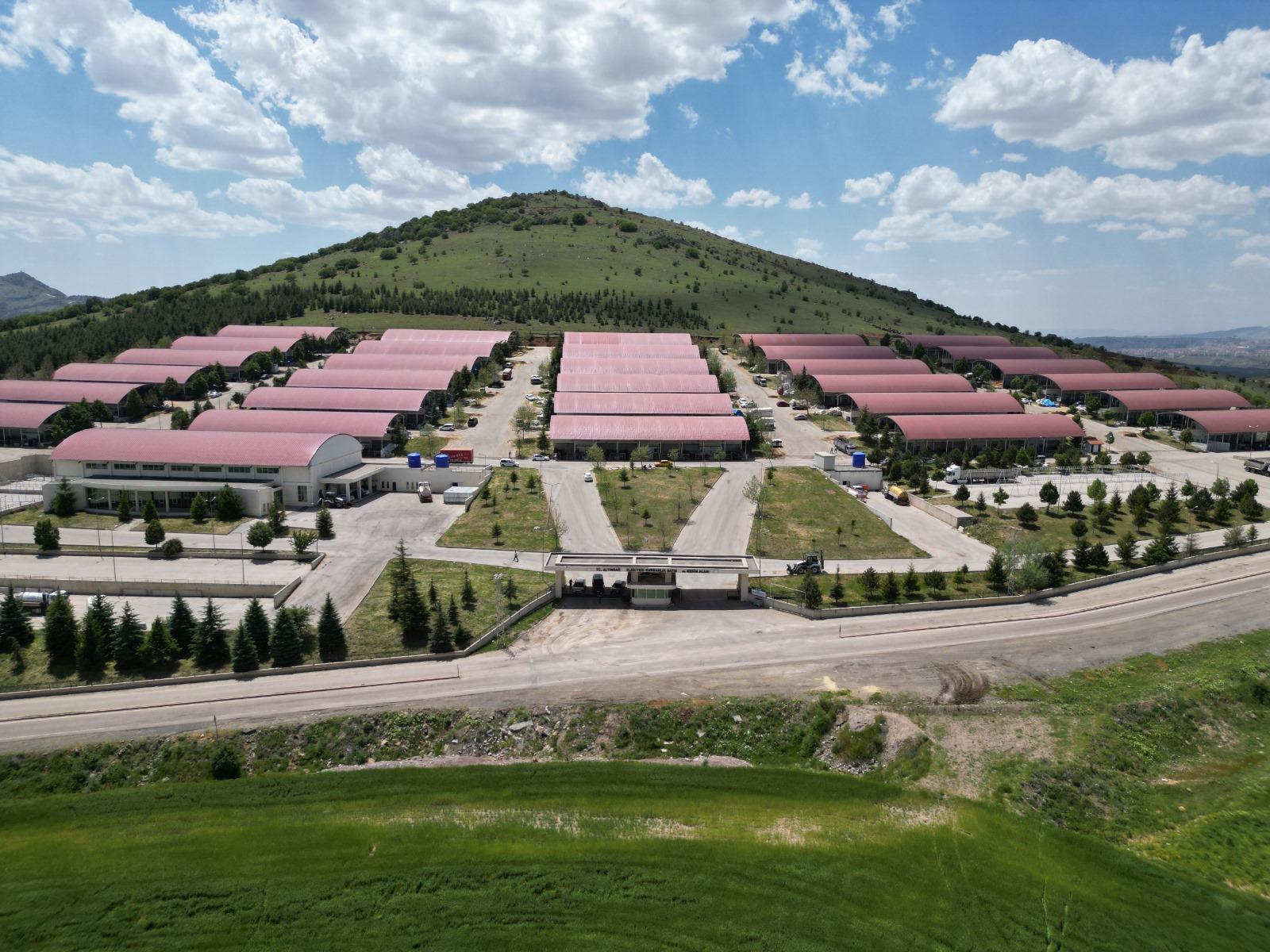 ALTındağ IS READY FOR EID-SACRIFICE