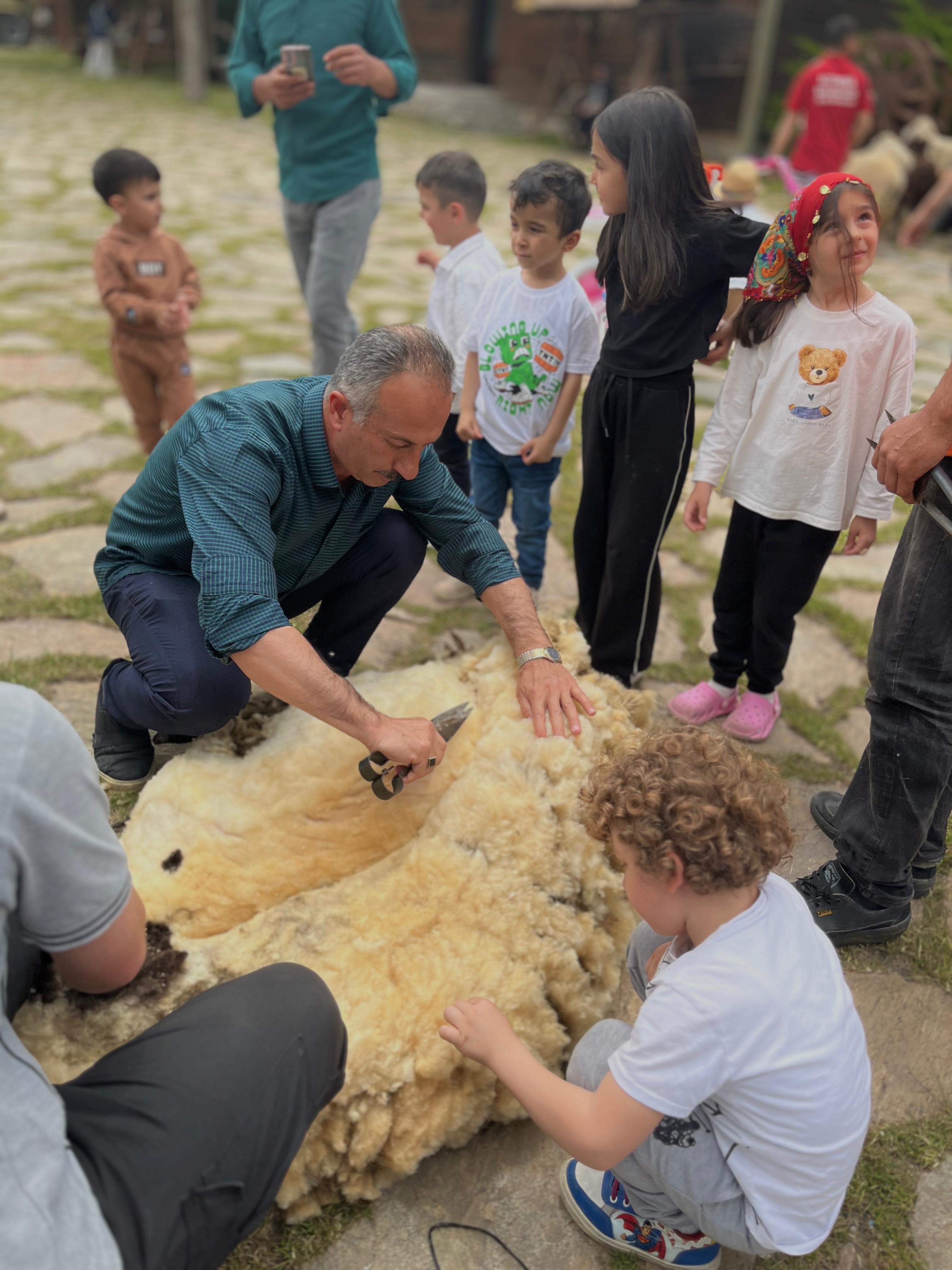 EID SHAVE FOR ALTINKÖY'S SHEEP