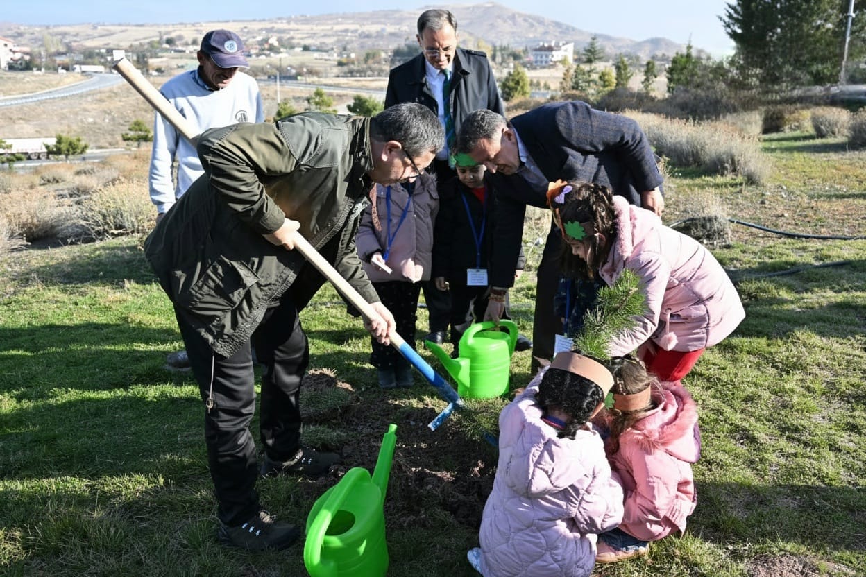 SEEDLINGS TO TREE, TREES TO FOREST