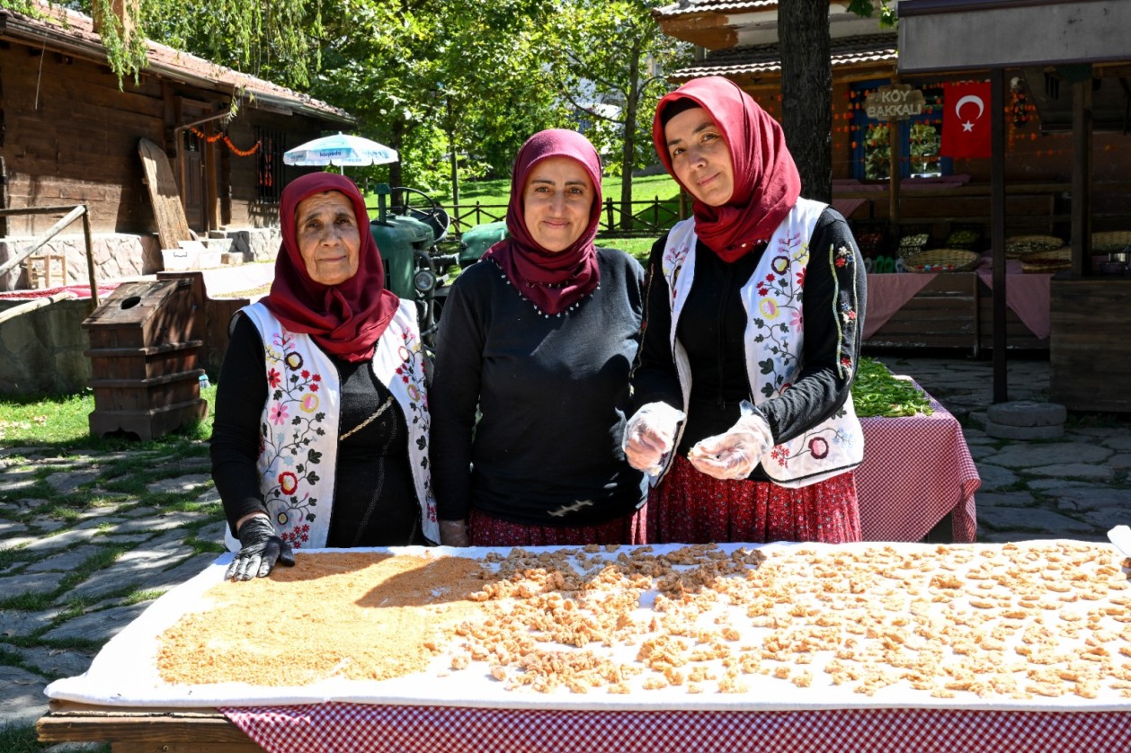 ALTINKÖY KIŞA HAZIR